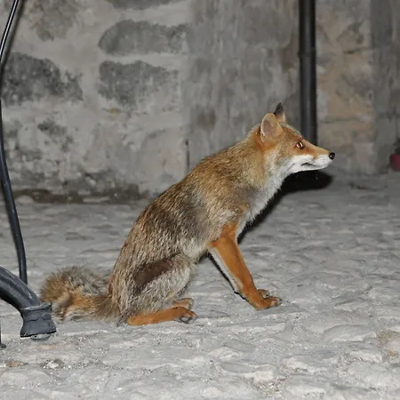 Rifugio Della Rocca Calascio