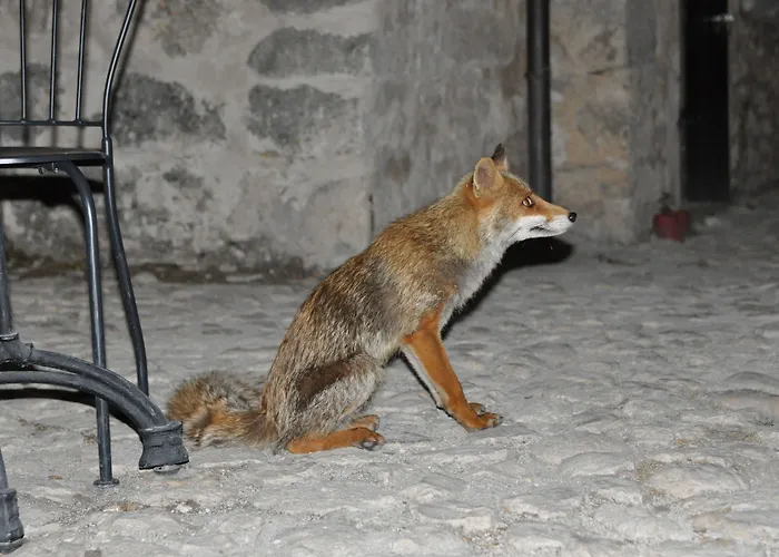 Rifugio Della Rocca Calascio